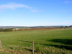 Property image 6 for SC11265