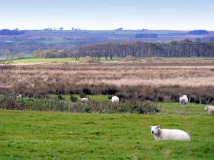 Property image 8 for SC11265