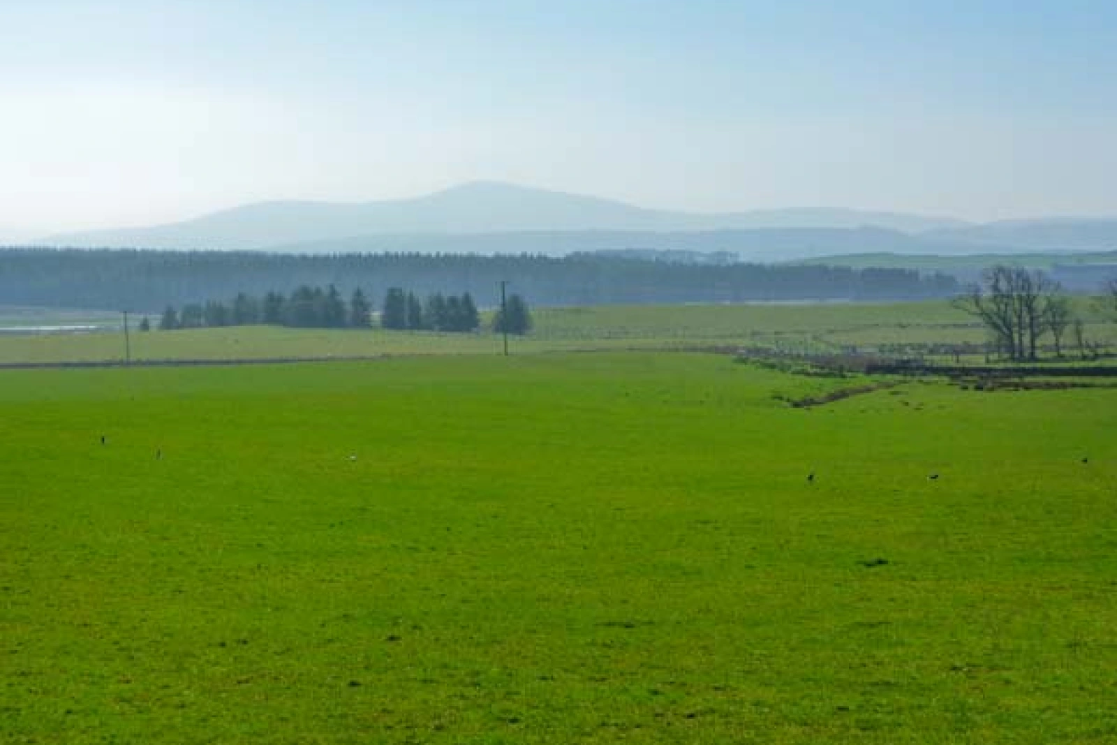 Property image 9 for SC11265