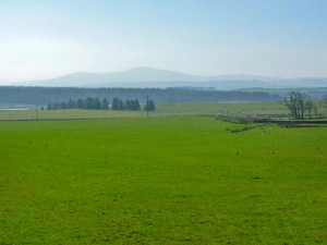 Property image 9 for SC11265