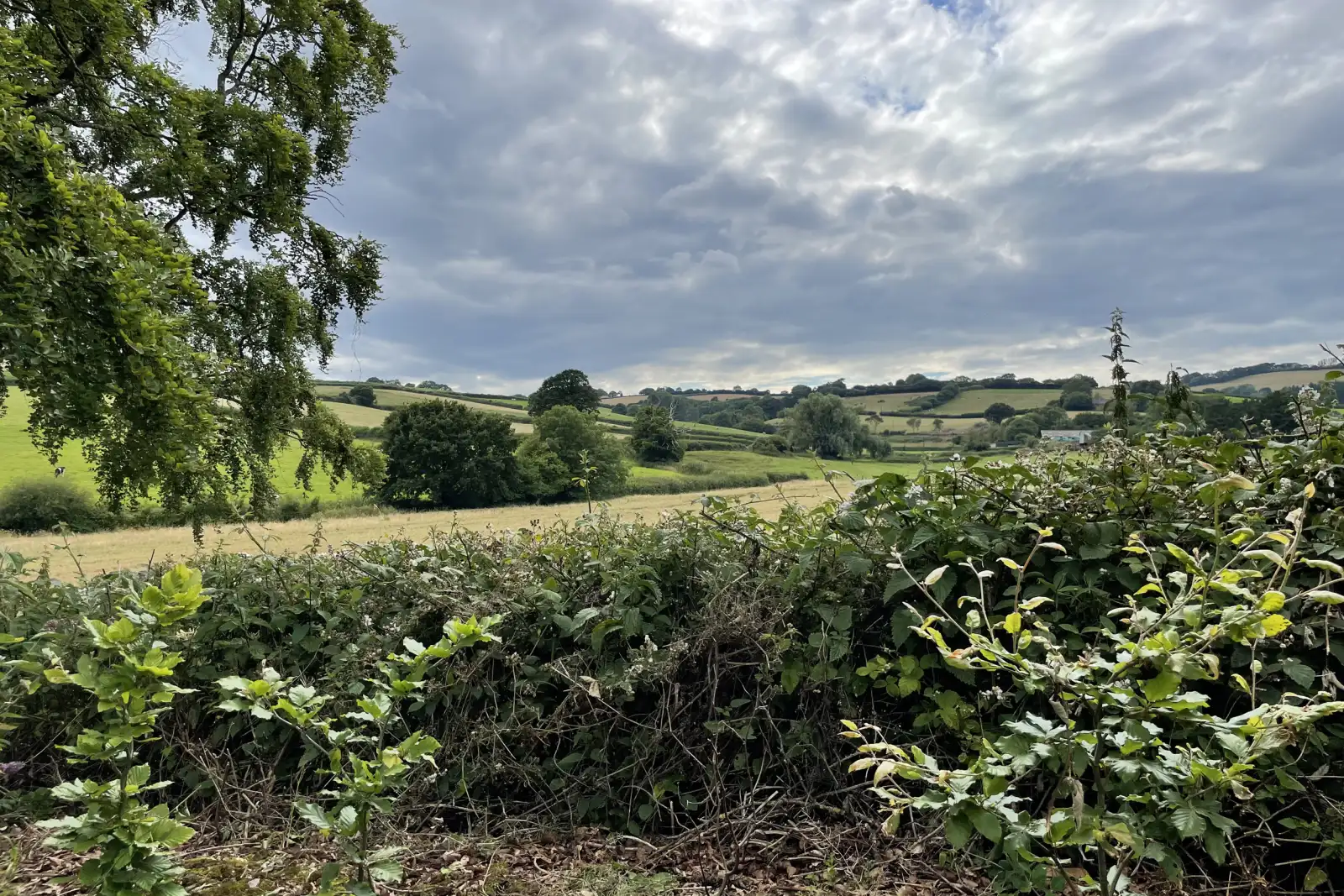 Property image 9 for SC1127267