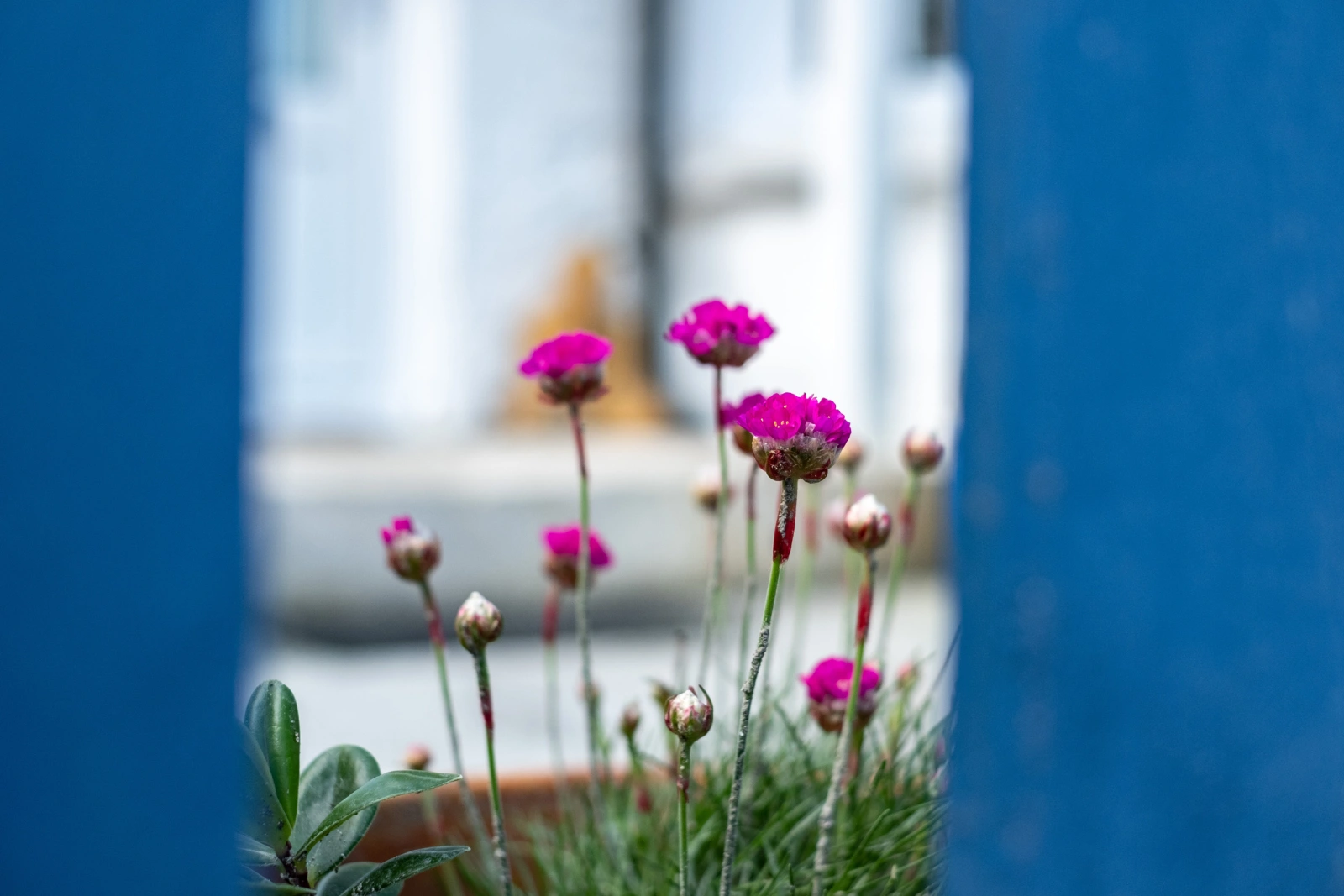 Property image 4 for SC1127717