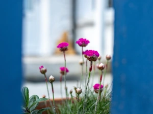 Property image 4 for SC1127717