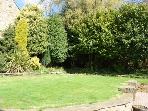 Property image 6 for SC1128887