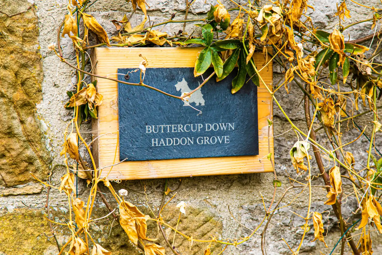 Property image 5 for SC1129195