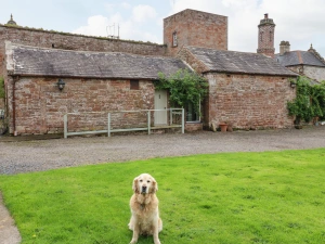 Property image 3 for SC1129281
