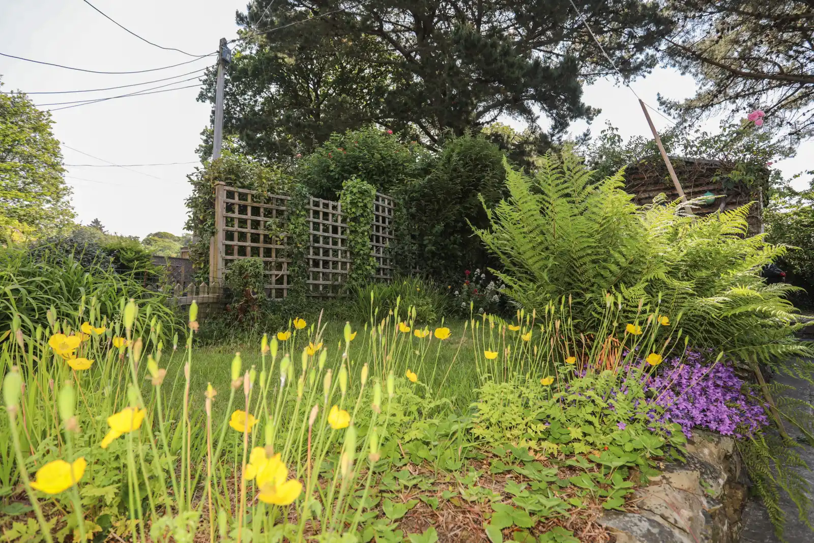 Property image 3 for SC1132897