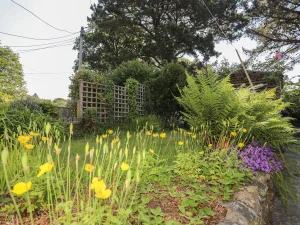 Property image 3 for SC1132897
