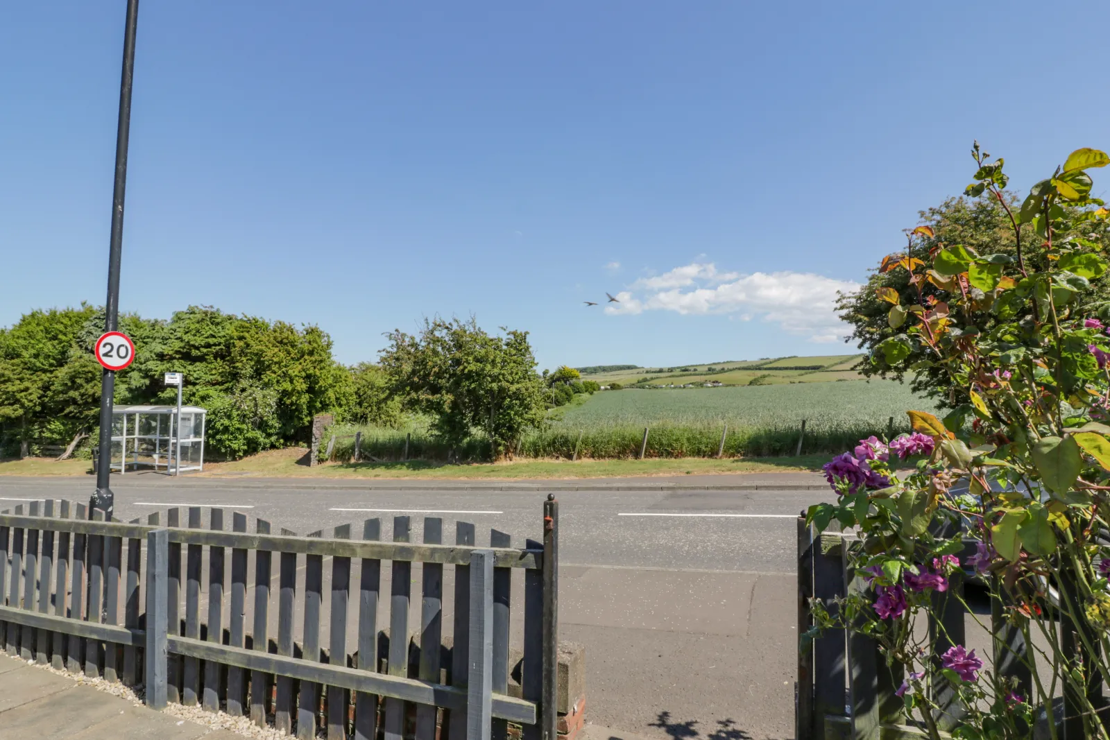 Property image 3 for SC1134597