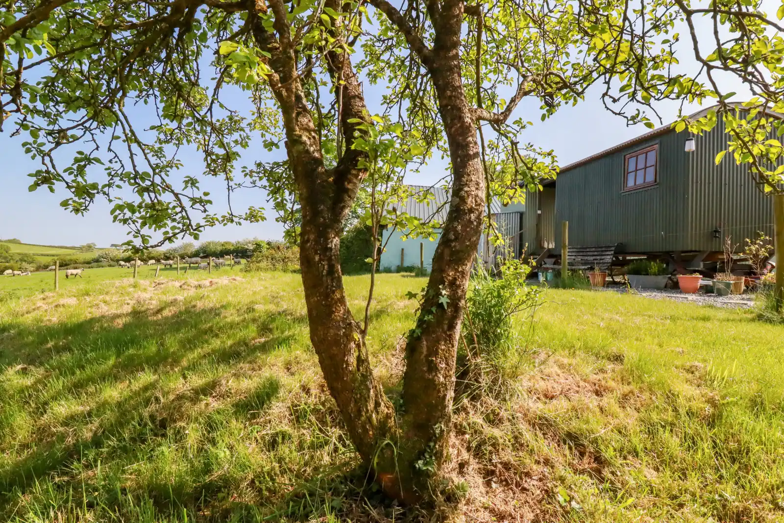 Property image 3 for SC1134710
