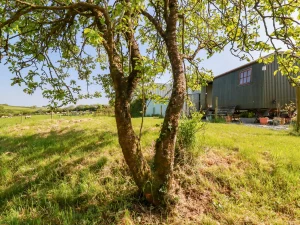 Property image 3 for SC1134710