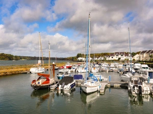 Property image 3 for SC1135515
