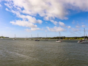 Property image 4 for SC1135515