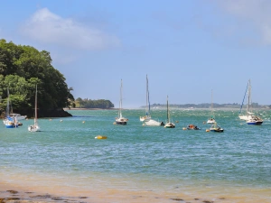 Property image 6 for SC1135515