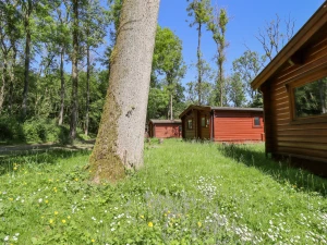 Property image 2 for SC1136809