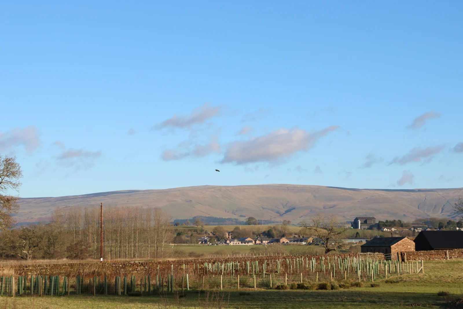 Property image 3 for SC1138730