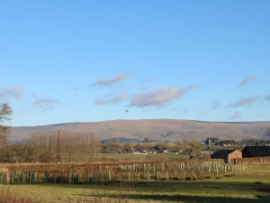 Property image 3 for SC1138730