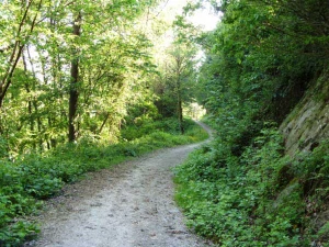 Property image 2 for SC1139597