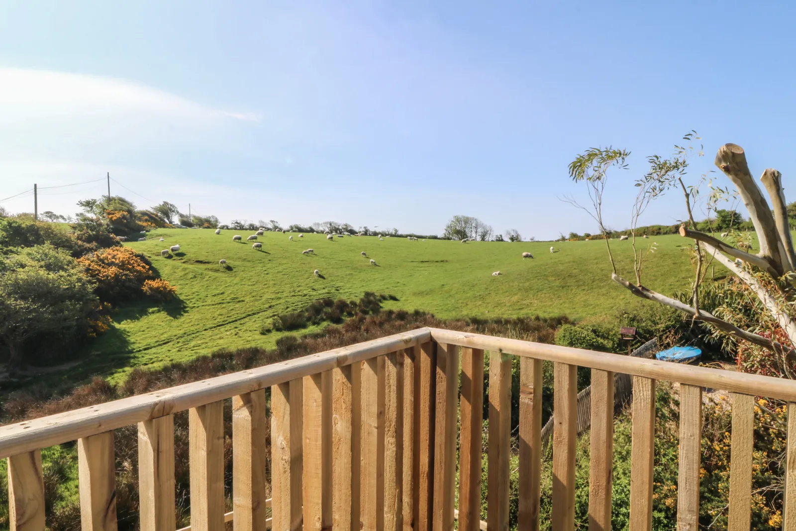Property image 6 for SC1141225