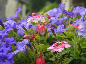 Property image 6 for SC1142166