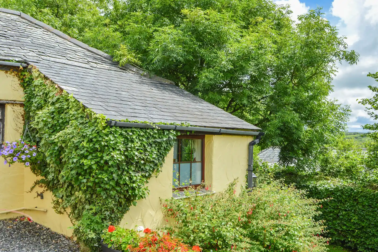 Property image 1 for SC1142168