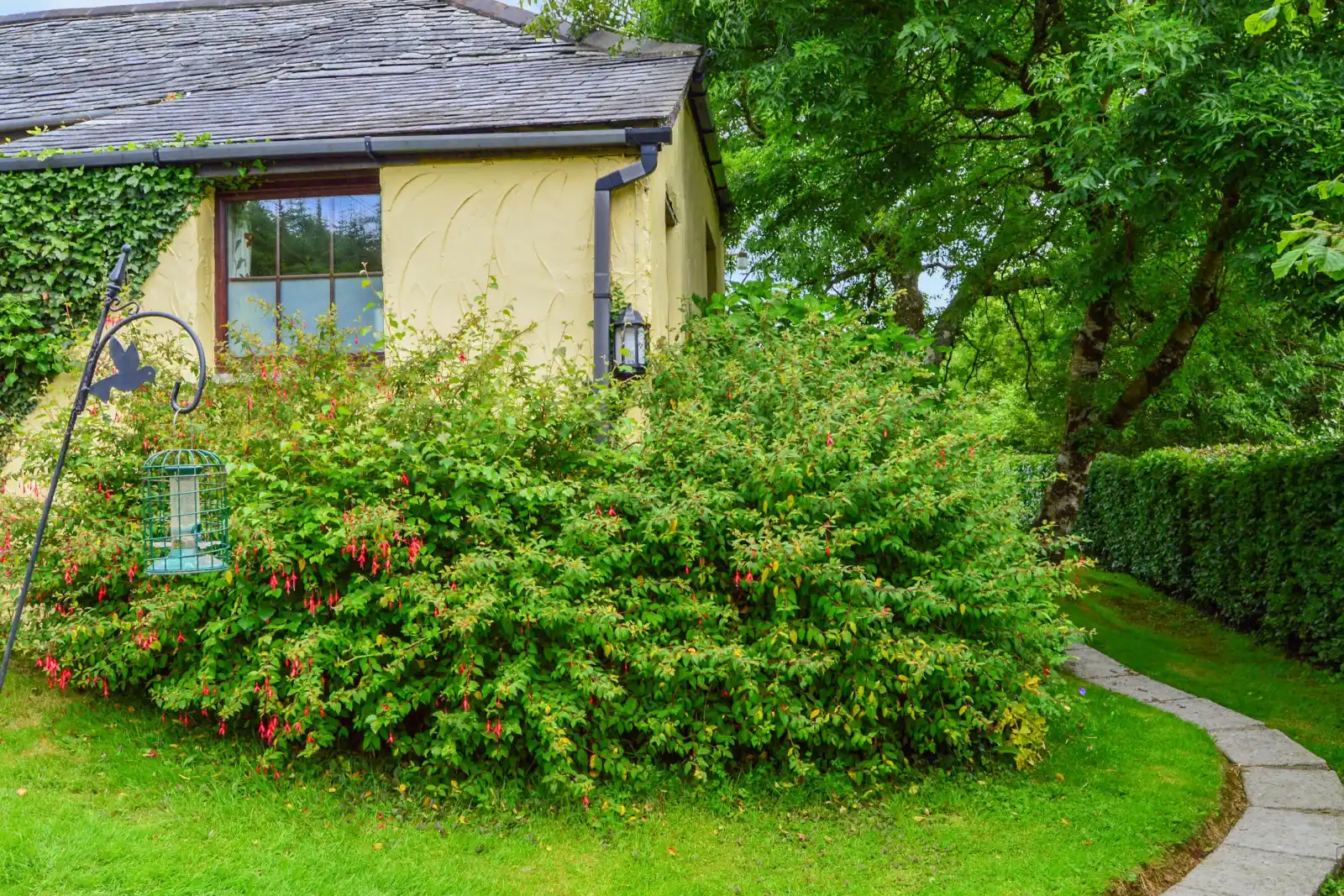Property image 2 for SC1142168