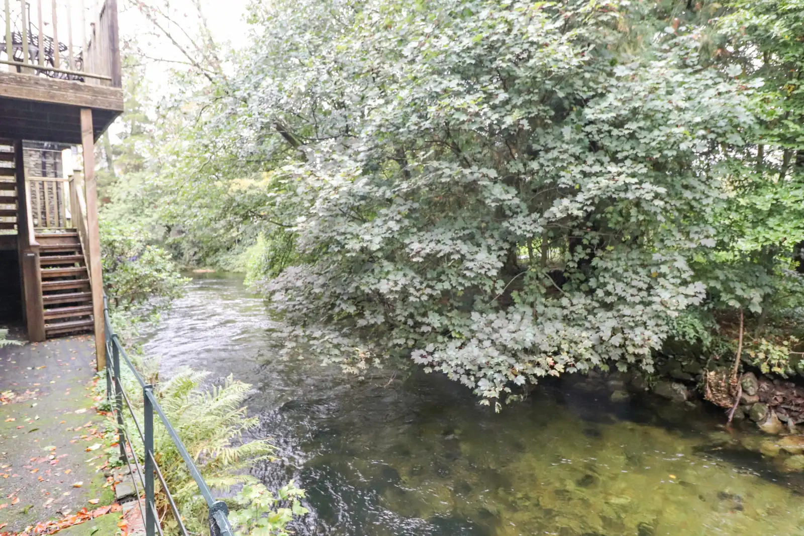 Property image 5 for SC1143050