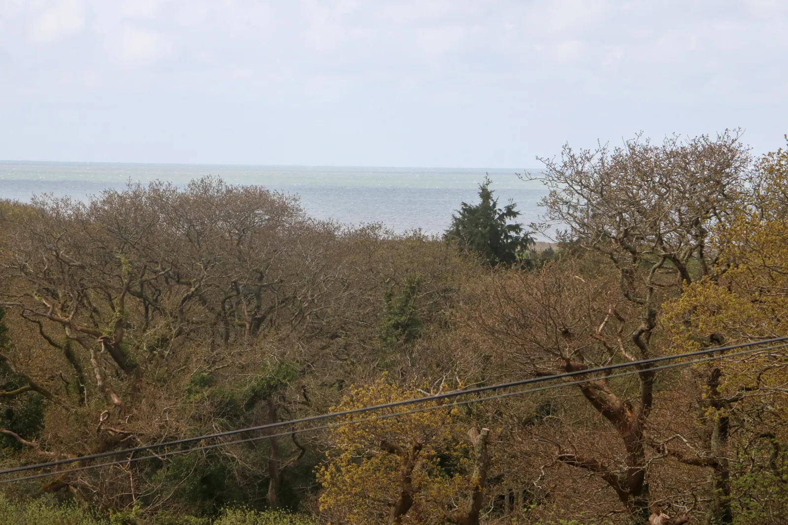Property image 2 for SC1143688