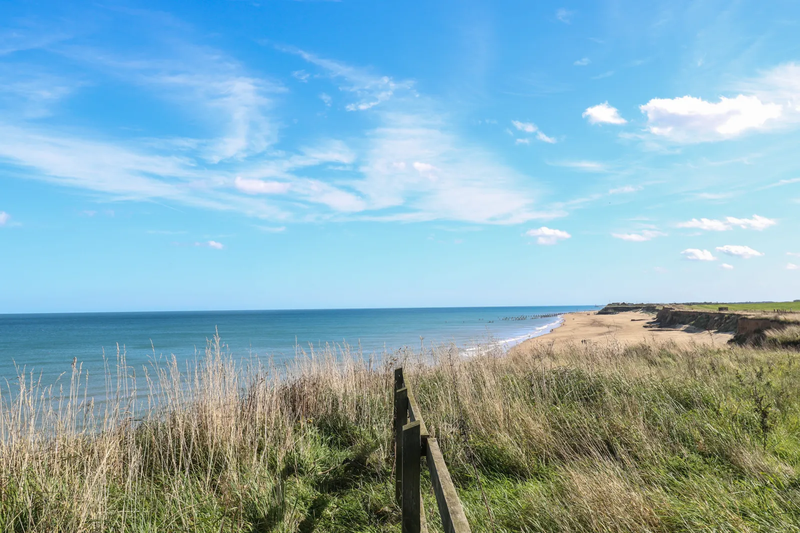 Property image 3 for SC1146419