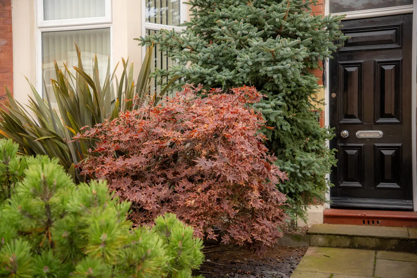 Property image 3 for SC1148315