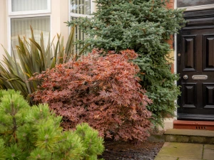 Property image 3 for SC1148315