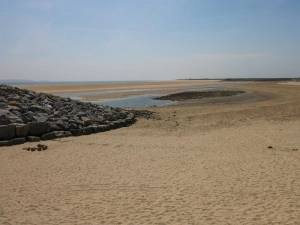 Property image 3 for SC1148783