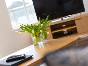 Property image 7 for SC1152300