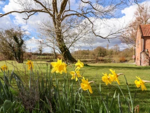 Property image 3 for SC1153933