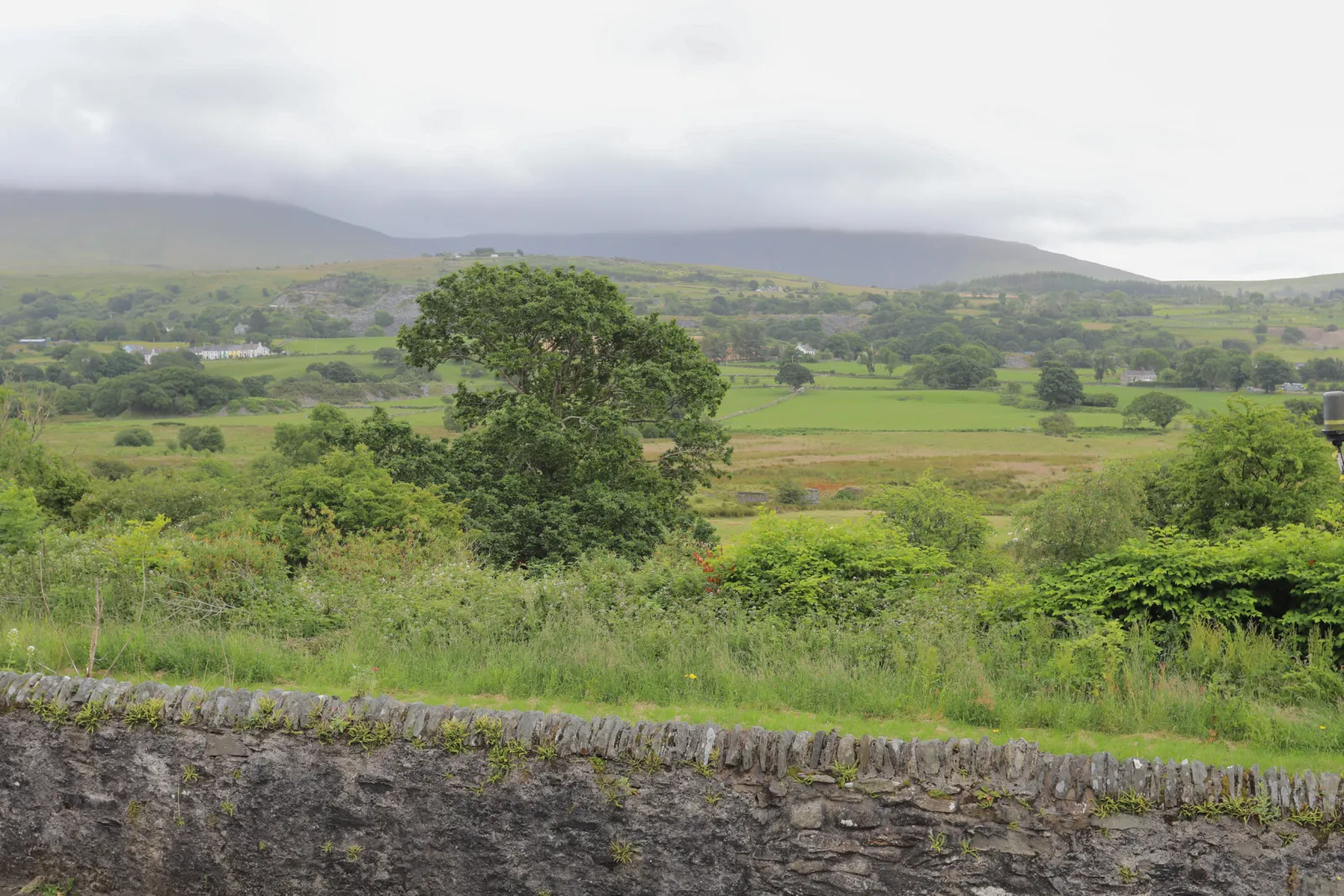 Property image 2 for SC1154530