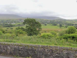 Property image 2 for SC1154530