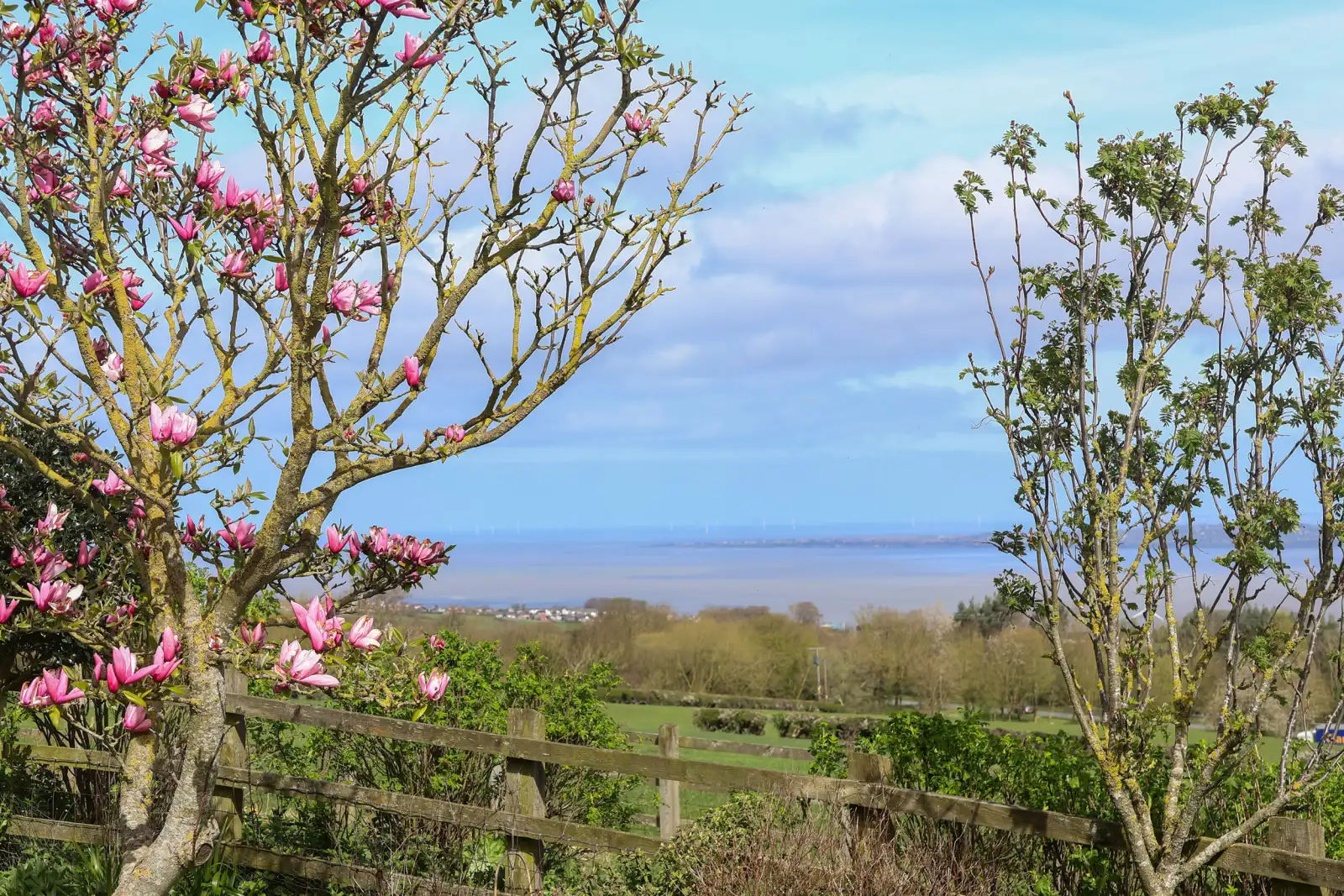Property image 1 for SC1154634