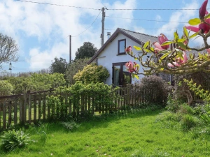 Property image 3 for SC1154634