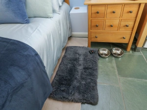 Property image 8 for SC1155561