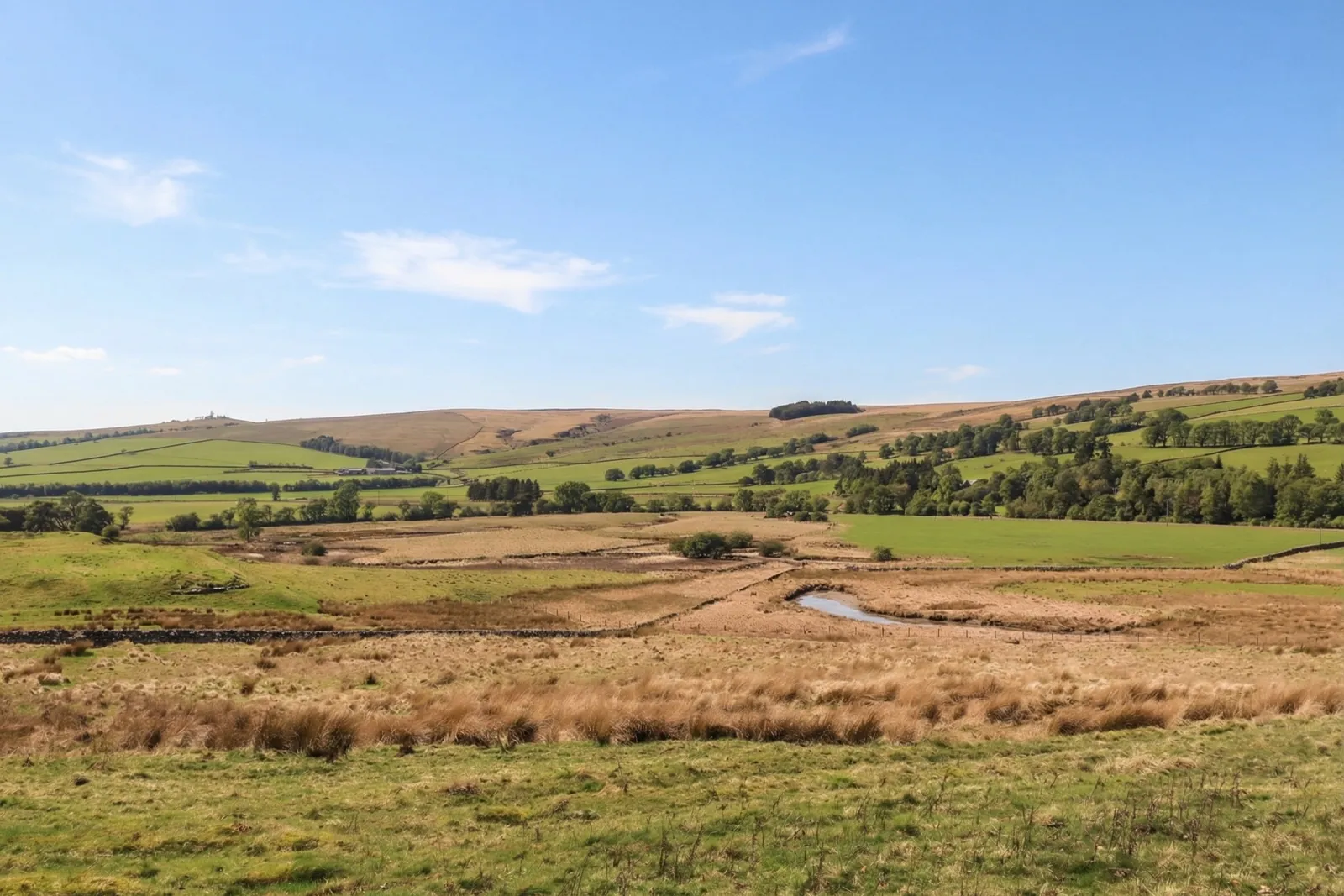 Property image 4 for SC1155595