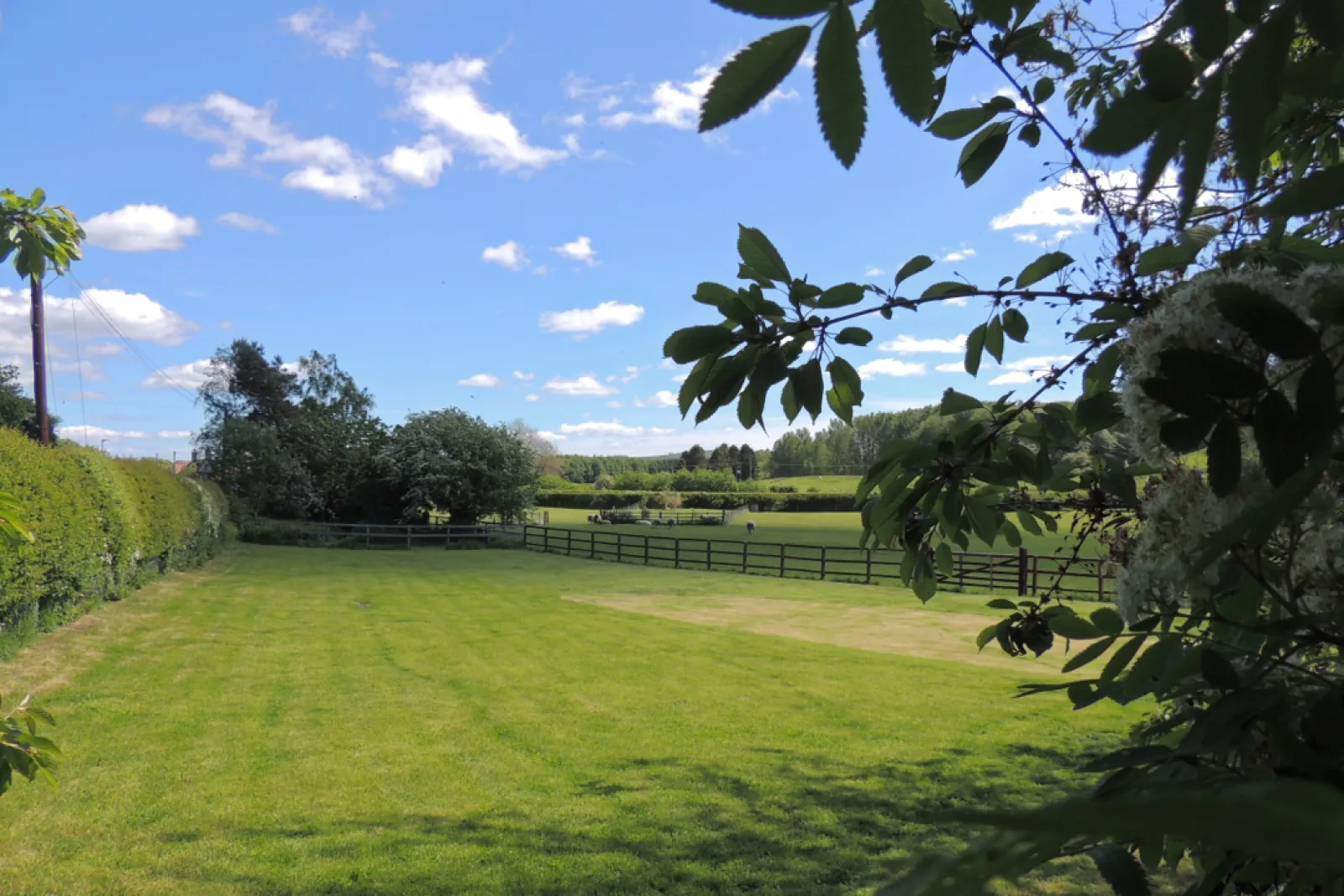 Property image 3 for SC1155969
