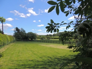 Property image 3 for SC1155969