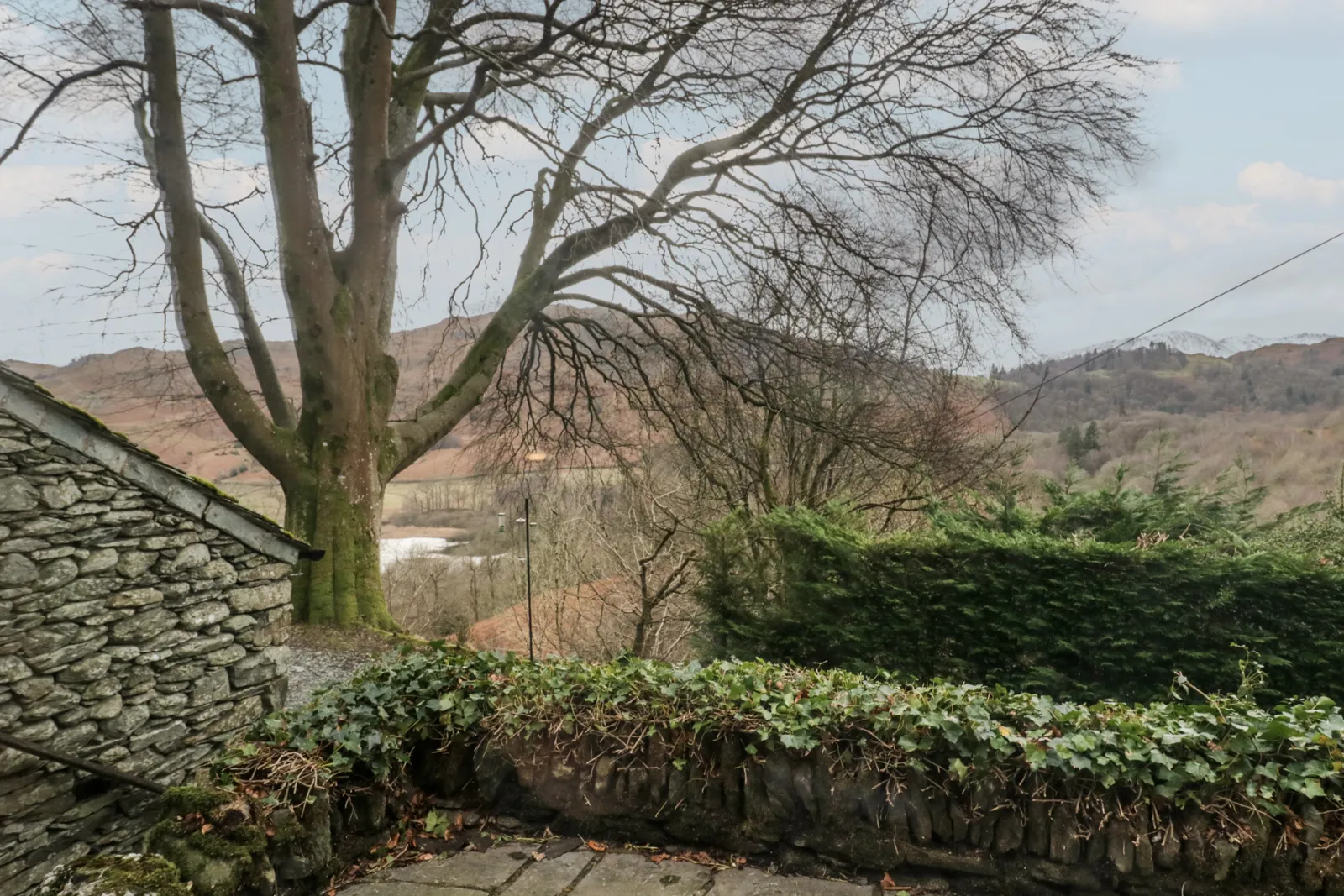 Property image 3 for SC1159790