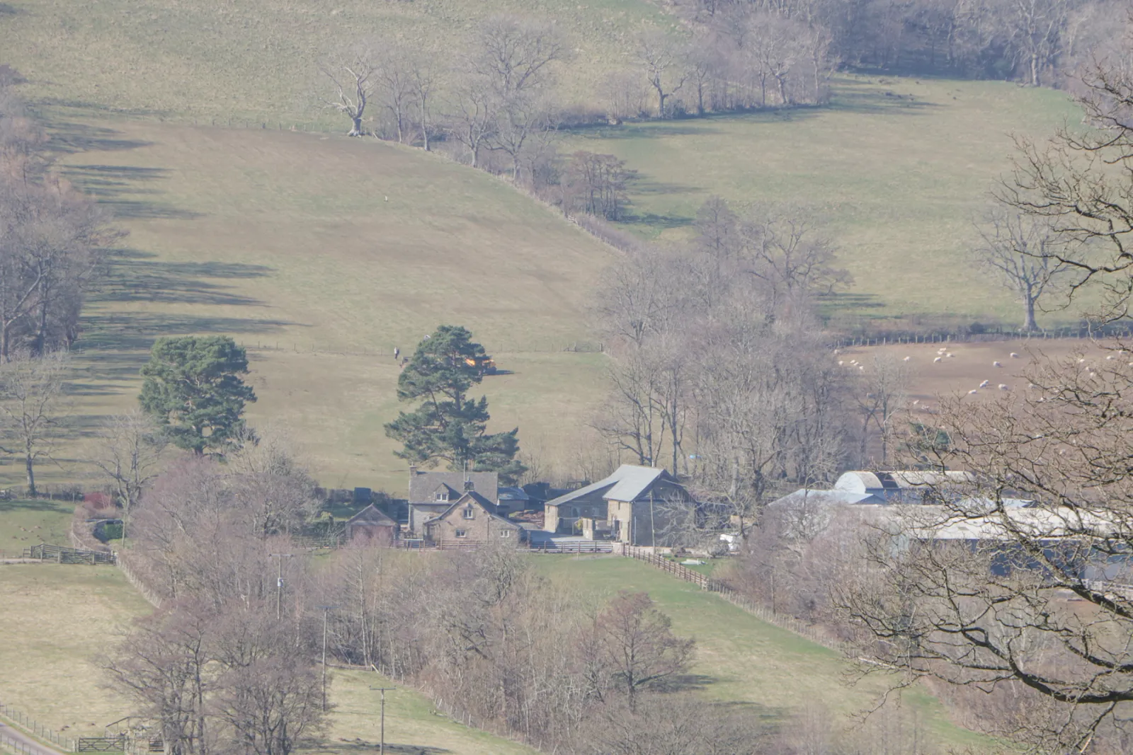 Property image 2 for SC1160649