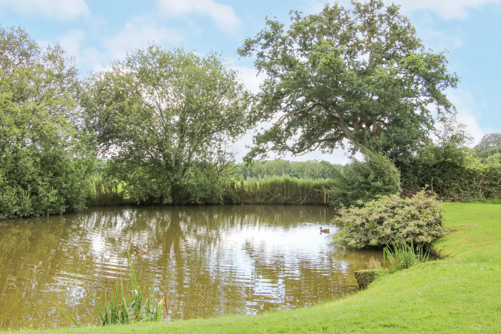 Property image 2 for SC1161489