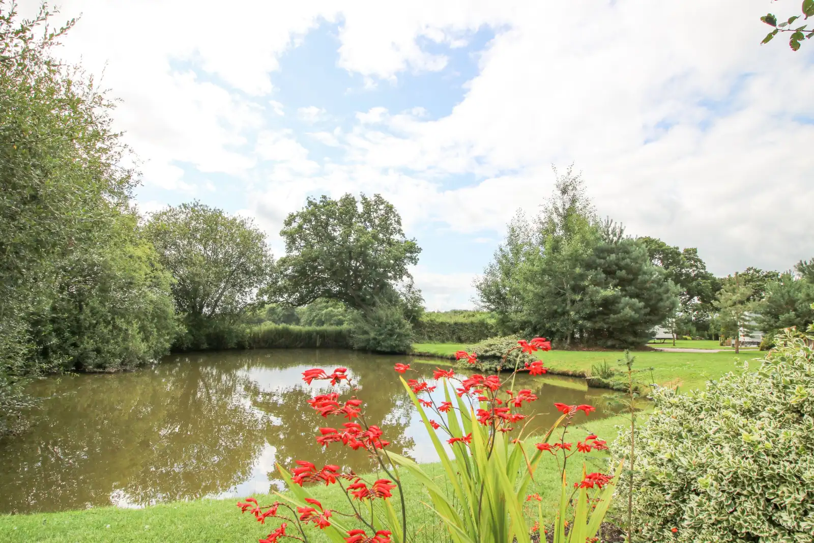 Property image 2 for SC1161491