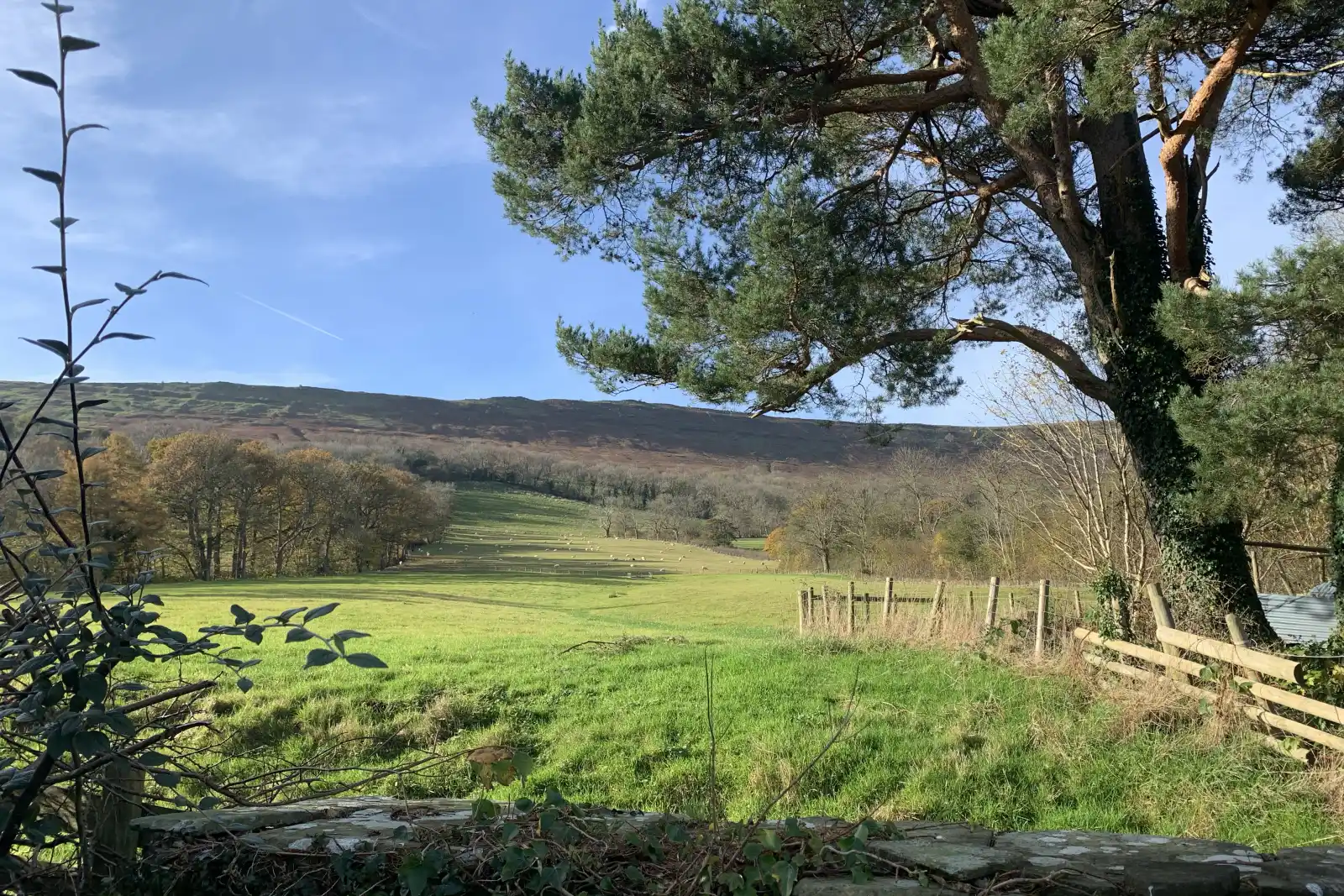 Property image 8 for SC1161980