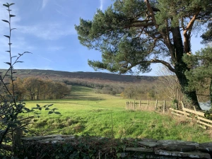 Property image 8 for SC1161980