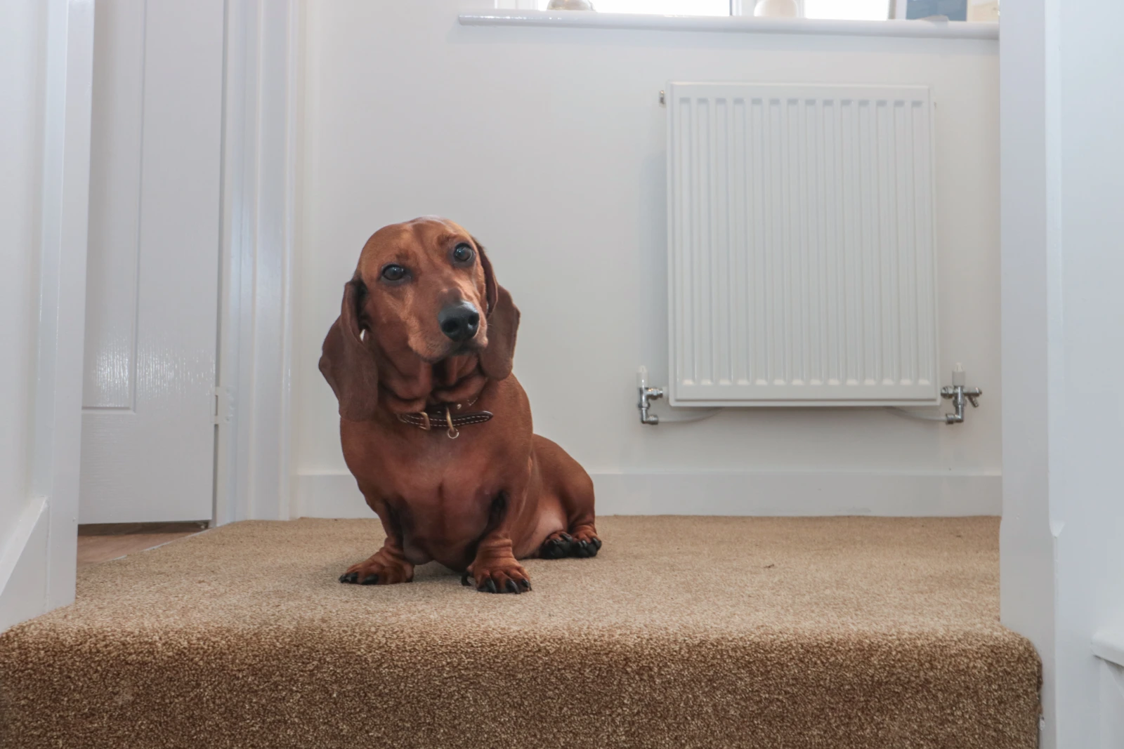 Property image 4 for SC1163701