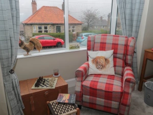 Property image 6 for SC1164102
